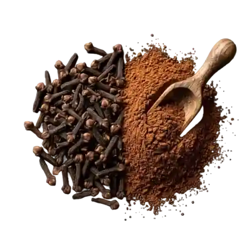 Bulk Ceylon cloves supplier from Sri Lanka - high oil aromatic cloves