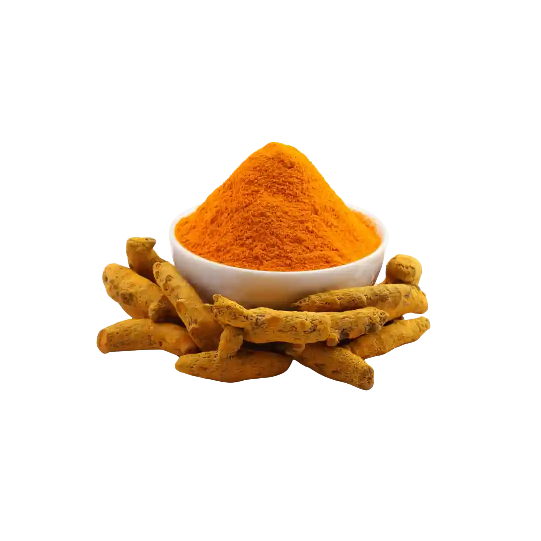 Bulk Ceylon turmeric supplier from Sri Lanka - high curcumin turmeric export