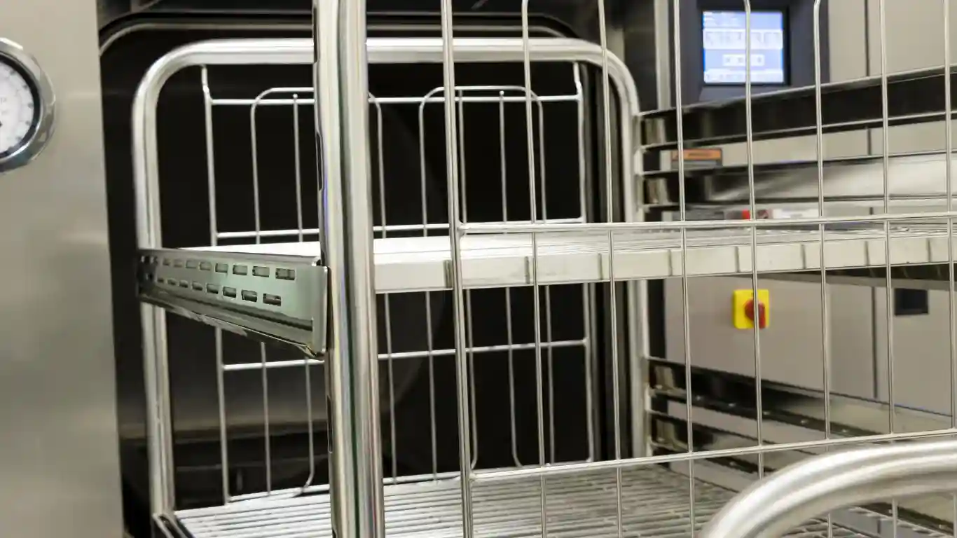Sterilization Background