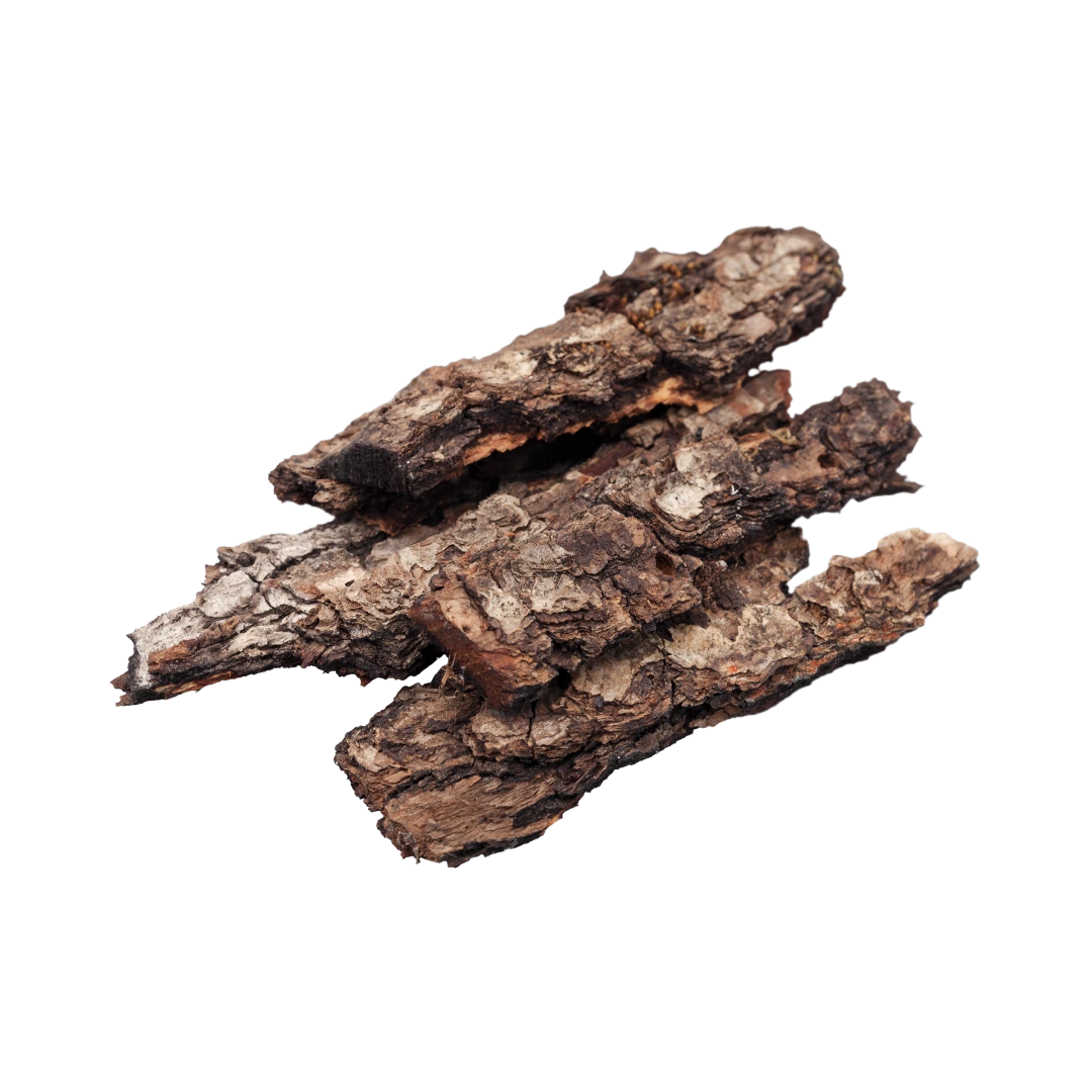 Ceylon Agarwood