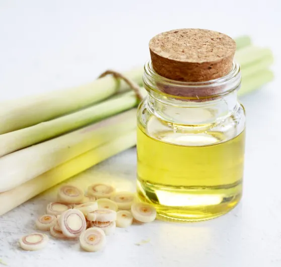 Ceylon Lemongrass Essential Oil