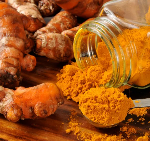 Ceylon Turmeric Root