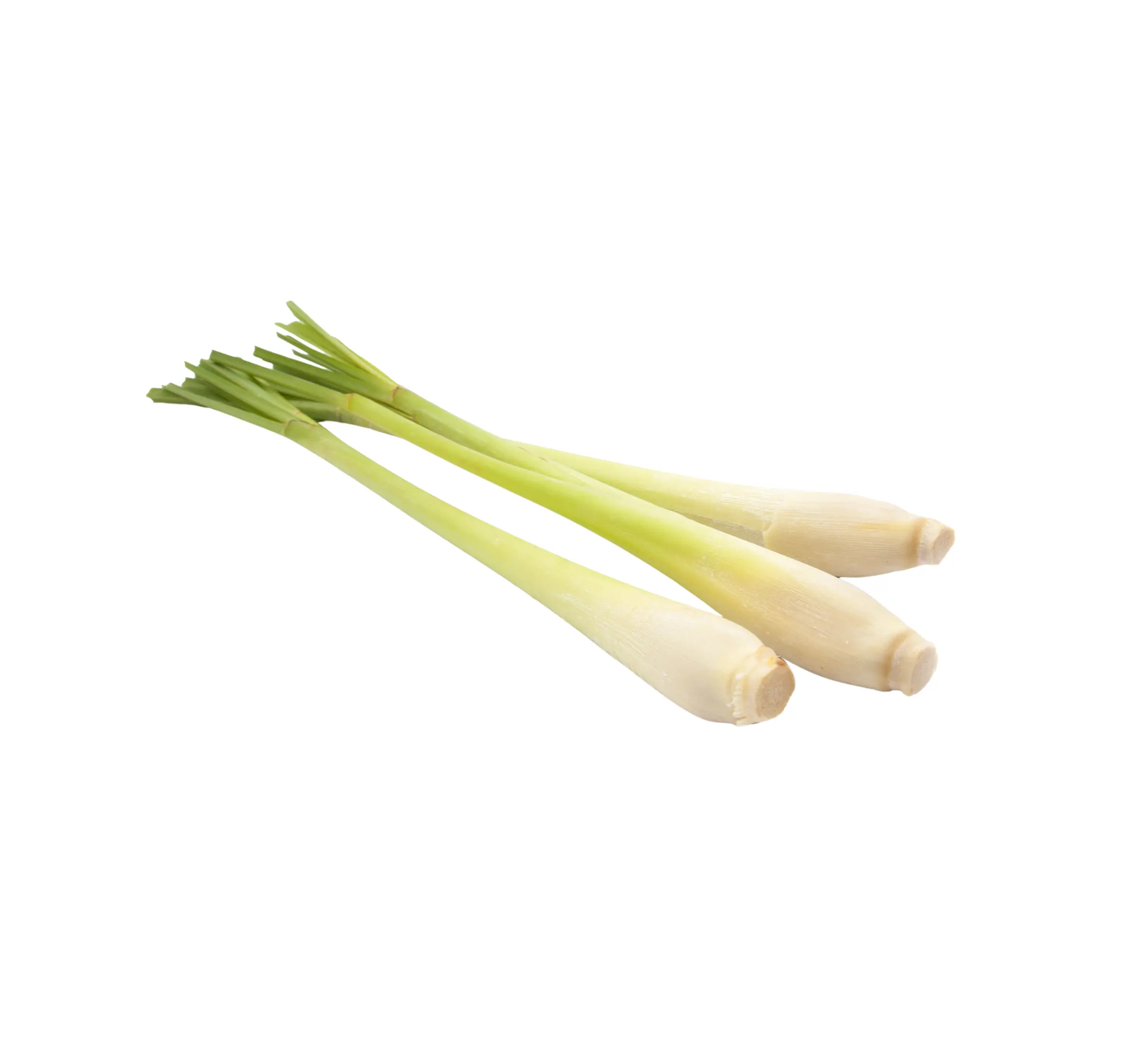Lemongrass